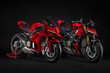 Ducati Panigale V4 S Corse 2026 - DUCATI CORSE