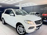 Mercedes-Benz Mercedes-benz ML 250 BlueTEC 4Matic Sport - weiße Mercedes-Benz ML 250