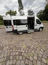 Fiat Ducato - Fiat Ducato mit Diesel-Antrieb: Kleinbus, 9 Sitzer