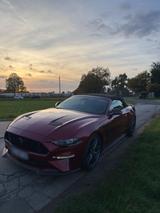 Ford Mustang GT 5.0 V8 Cabrio 450PS | Z-Pe... - Ford Mustang in Hagen