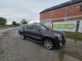 Cadillac Escalade 6.2 V8 Platinum ESV Autom. Platinum - Cadillac Escalade: Platinum