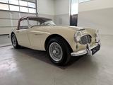 Austin Healey 100/6 (3000) - Austin Healey Gebrauchtwagen von 1959