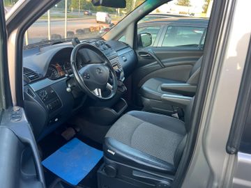 Mercedes Viano - 5