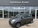 Fiat Panda 1.2 Lounge Zahnriemen 6/25 - Fiat Panda: Kombi