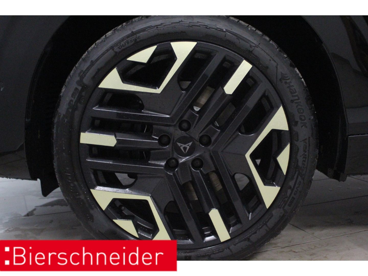 Cupra Terramar - Bild 17