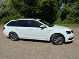 Skoda Octavia 1.8 TSI DSG Combi Drive ACC RFK Pano - Skoda Octavia: Drive