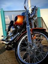 Harley-Davidson Softtail Custom 105th - Offers