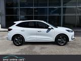 Ford Kuga 1.5 EB ST-Line Winterpak*5 J.Garantie - Ford Kuga mit Benzin-Antrieb: Geländewagen