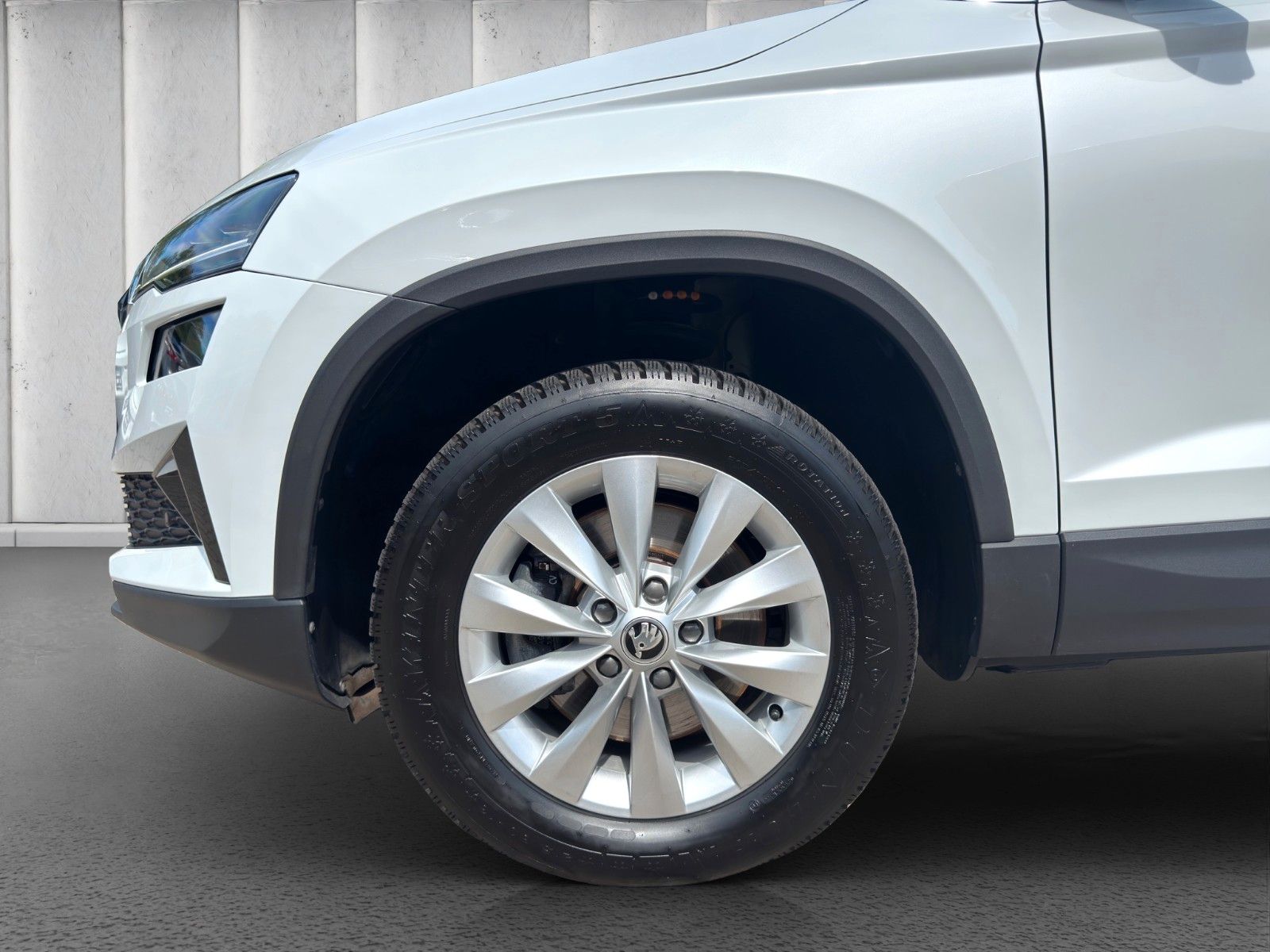 Fahrzeugabbildung SKODA Karoq 1.5L*DSG*AHK*Navi*LED*Kamera*TOP**