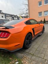 Ford Mustang 5.0 Ti-VCT V8 GT shelby  - Ford Mustang in Köln