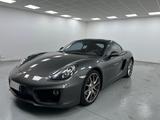 Porsche Cayman 981 S  - Porsche: 981