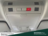 Skoda Kamiq - Vorschau Bild 16