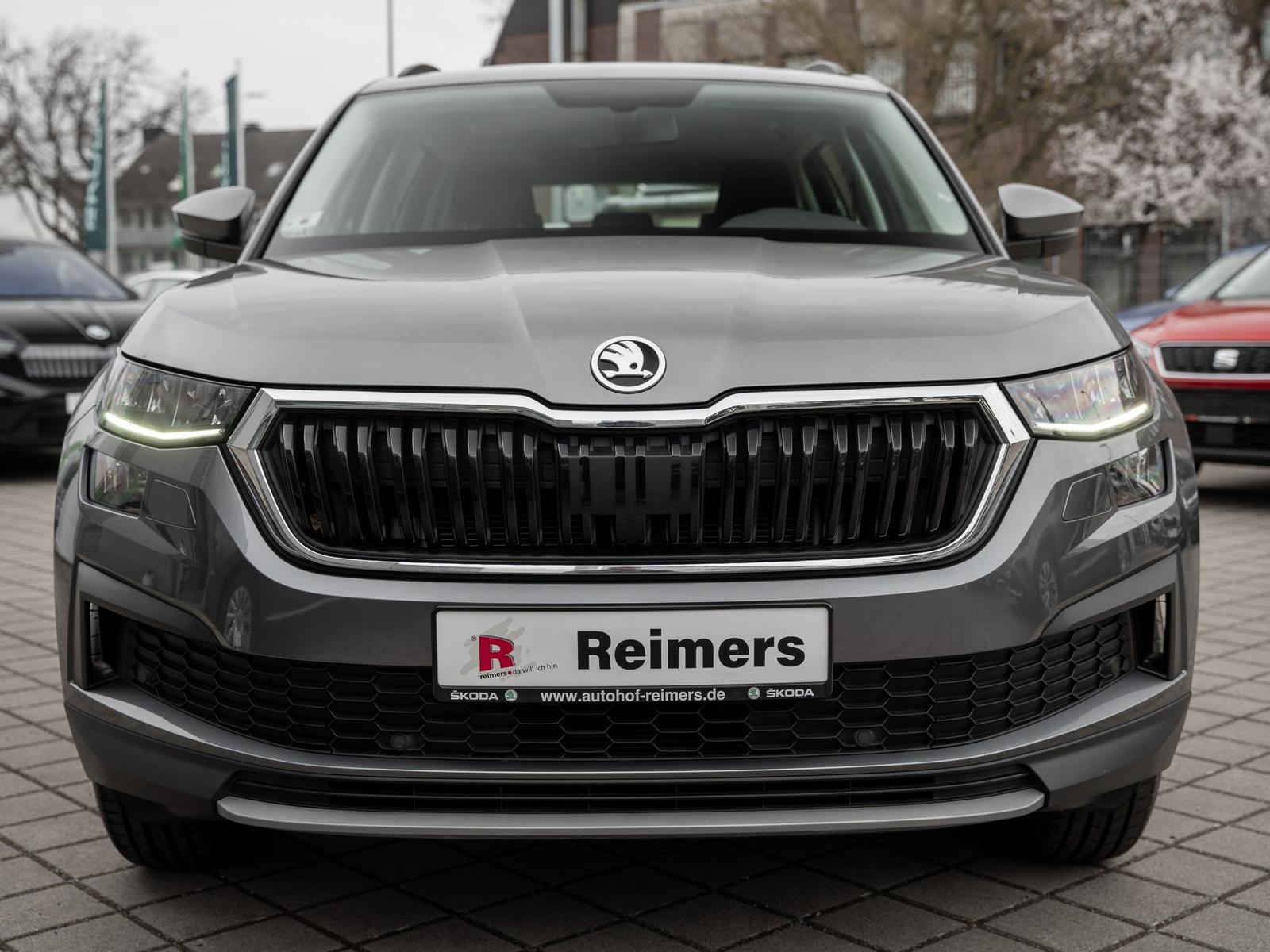 Skoda KODIAQ ACTIVE 2.0 TDI DSG Navi LED PDC SHZ AUT