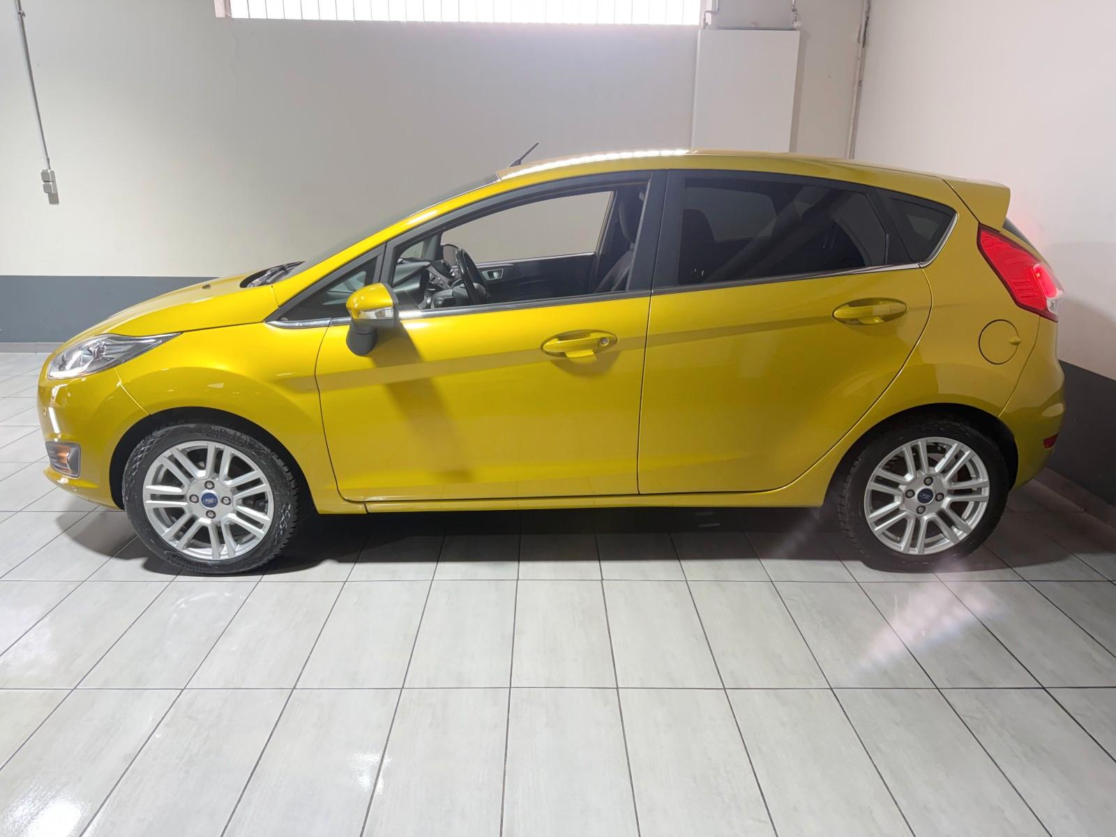 Ford Fiesta Titanium Berganfahrhilfe Winterpaket