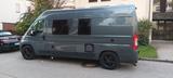 Fiat Ducato - Angebote
