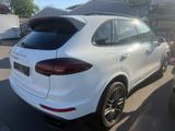 Porsche Cayenne Diesel Platinum Edition Platinum Edition - Porsche Gebrauchtwagen in Hagen