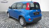 Fiat Panda 1,0 Hybrid (MHEV) Pandina Base DAB MFL PDC - Fiat Panda in Stuttgart