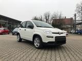 Fiat New Panda 1.0 Hybrid *5 Sitzer Klima Komfort* - Fiat New Panda aus 2024