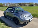 Volkswagen New Beetle 1.4 United Cabriolet - TOP GEPFLEGT - VW New Beetle Gebrauchtwagen