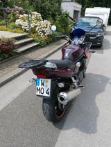 Suzuki Bandit 1200S - SUZUKI 2003 BANDIT 1200S