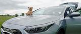 Kia cee'd Sportswagon 1.6 GDI Plug-In Hybrid Spirit 