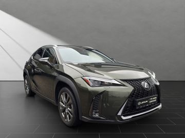 Lexus UX - 6
