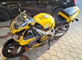 Honda CBR 900 RR Fireblade SC33  - HONDA 1997 CBR 900