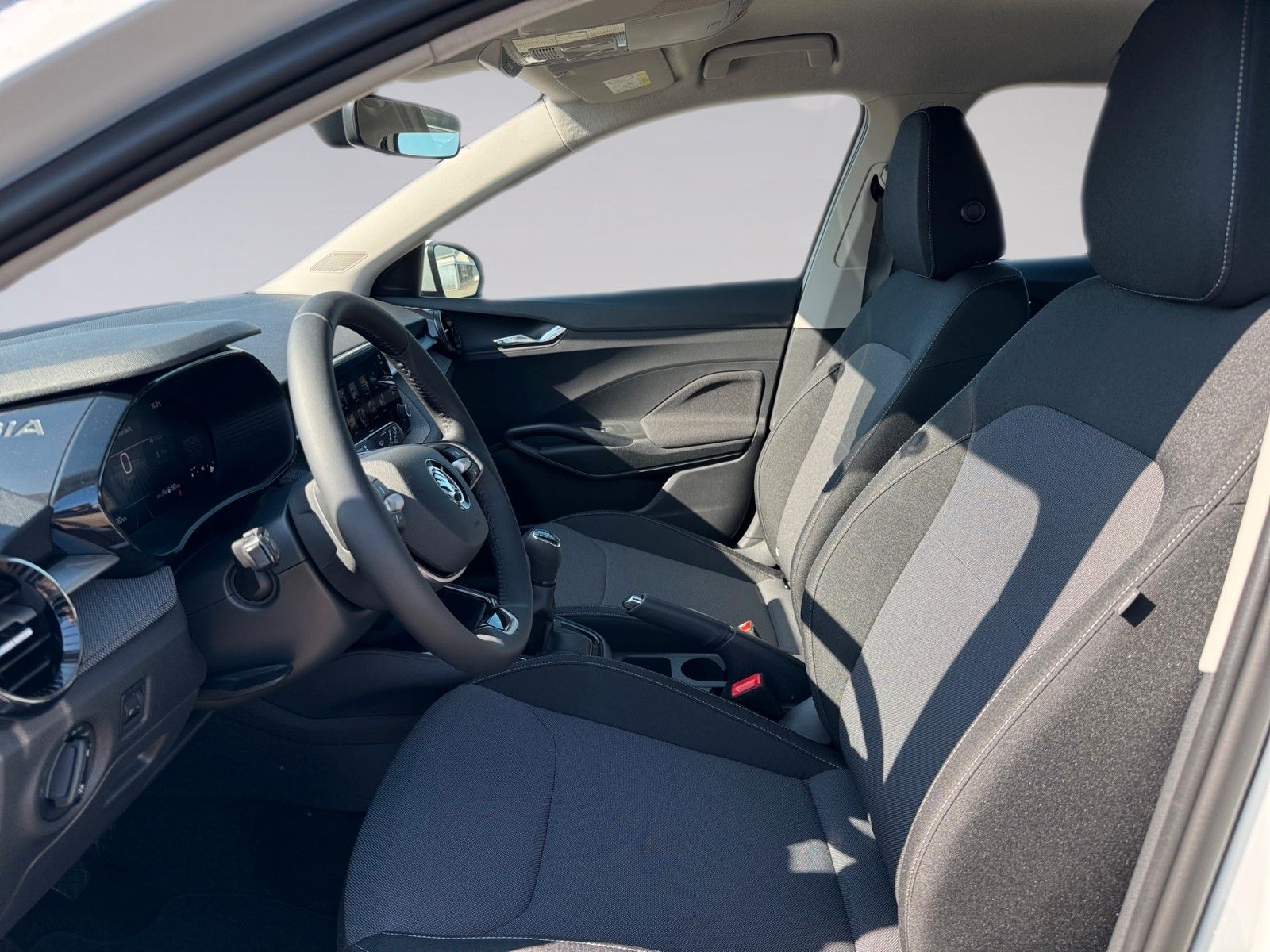 Fahrzeugabbildung SKODA Fabia Selection 1.0TSI