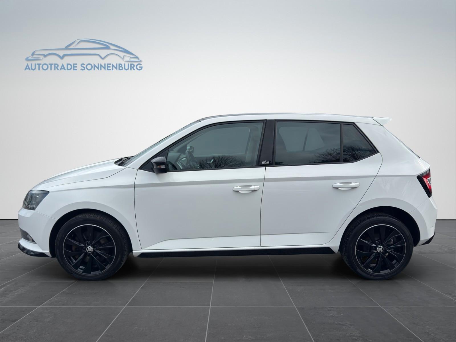Skoda Fabia Monte Carlo*Panorama