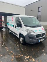 Fiat Ducato Transporter gepflegt und zuverlässig - Fiat: Transporter