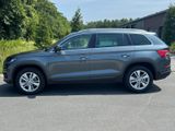 Skoda Kodiaq 2.0 TSI DSG 4x4 Style AHK, 360, Leder - Skoda Kodiaq: Privatanbieter