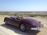 Jaguar XK 140 SE OTS C-Type Roadster - Jaguar XK: Ots