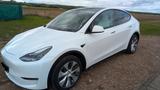 Tesla Model Y Long Range Dual Motor AWD + 2.Reifensatz - Tesla Model Y: Limousine