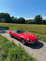 Jaguar E-Type V12 Serie 3 - Jaguar E-Type: V12