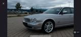 Jaguar XJR XJR - Jaguar XJR von privat