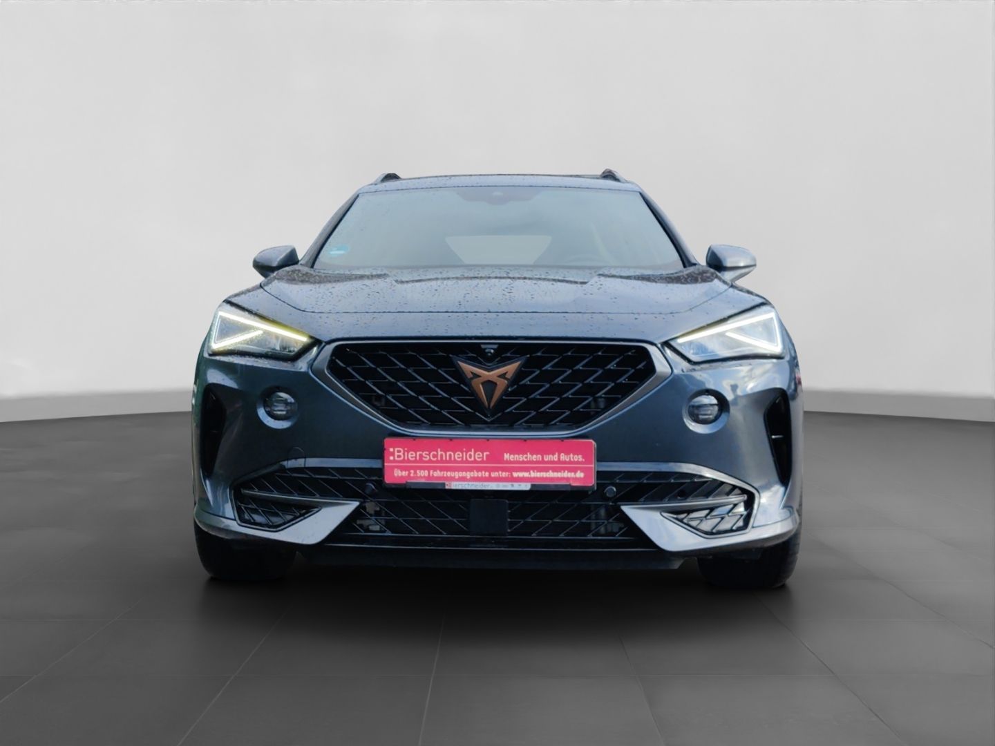 Cupra Formentor - Bild 4