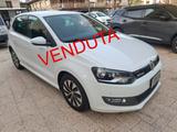Volkswagen Polo - 1.4 TDI Business Ed. - Gebrauchtwagen bis 300 Euro