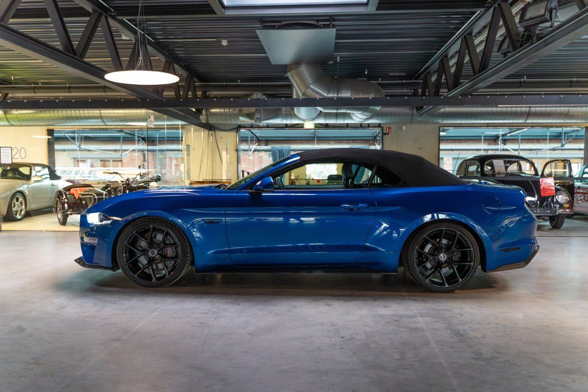 FORD Mustang (Mustang GT 5.0 Convertible 20Zoll SHELBY, Carbon)