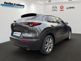 Mazda CX-30 e-SKYACTIV-G 140 AT Exclusive-Line - Mazda CX-30 Exclusive-Line mit Hybrid-Antrieb (Benzin/Elektro)