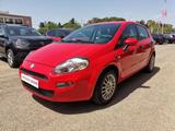 Fiat FIAT Punto 1.2 8V 5 porte Street - Fiat Punto: Rot