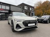 Audi e-tron 55 quattro S line ACC/HUD/Matrix/Pano/B&O - mit Elektro-Antrieb: Beige, Freisprecheinrichtung