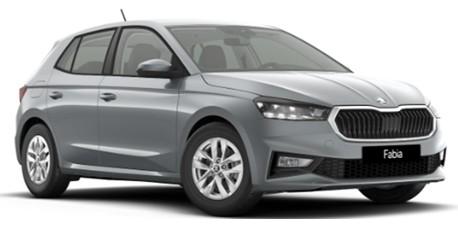 Skoda Fabia IV 1.0 TSI DSG Selection AHK/5 J Garantie