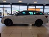 Skoda Octavia Combi RS DSG HUD AHK Matrix Navi - Skoda Octavia: Automatik