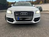 Audi SQ5        . - Audi SQ5 in Bonn