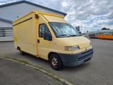 Fiat Pferdetransporter Fiat Ducato 2.5D - gebrauchte Fiat Ducato aus dem Jahr 1996