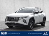 Hyundai Tucson Prime Mild-Hybrid 4WD 1.6 T-GDI Dach Schw - weiße Hyundai TUCSON