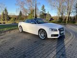 Audi S5 3.0 TFSI S tronic quattro Cabriolet - - gebrauchte Audi S5 aus dem Jahr 2010