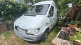 Mercedes-Benz Mercedes Sprinter 313 CDI- Maxi Lang - Mercedes-Benz Sprinter aus 2006: 313