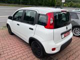 Fiat Panda Base    1.Hand   12500 Euro BRUTTO - Fiat: 125p