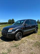 Ford Fusion 1,4 TDCi  - Ford Fusion mit Diesel-Antrieb